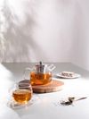 Euroline Glass Tea Pot 800mL_33291