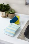 Full Circle Refresh Scrubber Sponges Set/3_1054