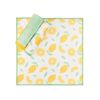 Full Circle Renew Microfiber Cloths set/3 - Citrus_11874