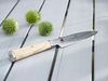 Miyabi 5000MCD Birchwood Gyutoh (Chef's) Knife - 20cm_2624