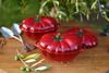 Staub Cocotte Ceramic 0.5L Tomato_4119