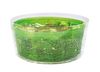 Zyliss Swift Dry' Large Salad Spinner_105