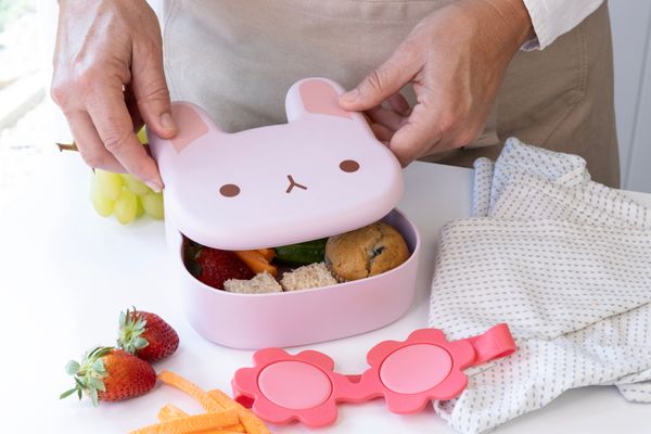 Cuisena PLA Bunny Lunch Box