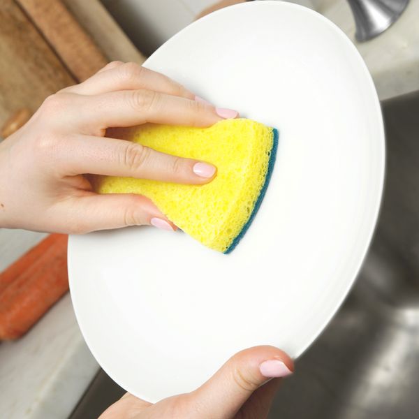 Full Circle Refresh Scrubber Sponges Set/3