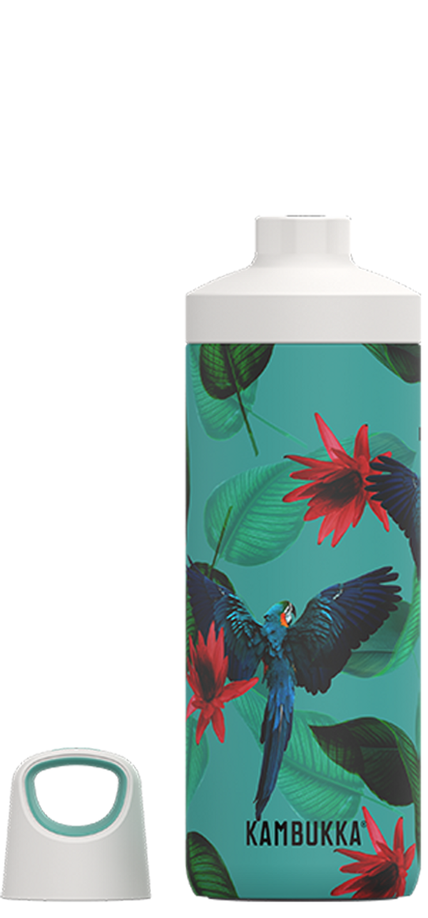 Kambukka Reno Insulated Bottle 500ml Parrots