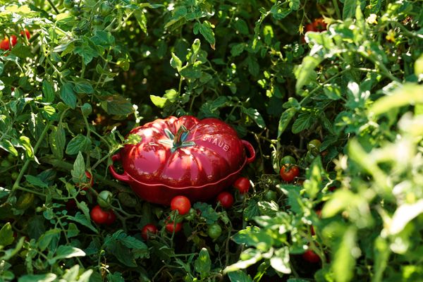 Staub Cocotte Ceramic 0.5L Tomato